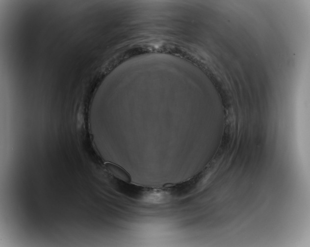 X0000089700754200707201740