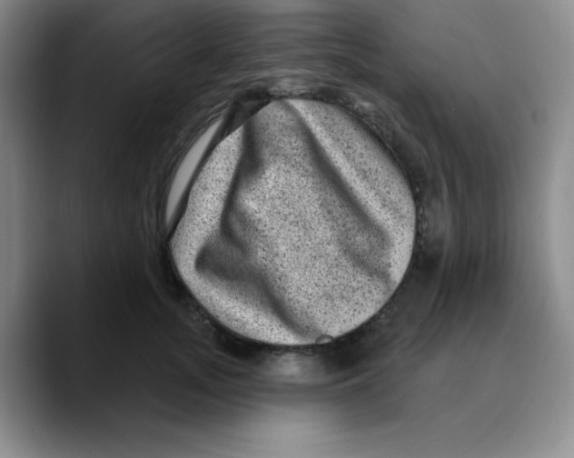 X0000089700755200707201740