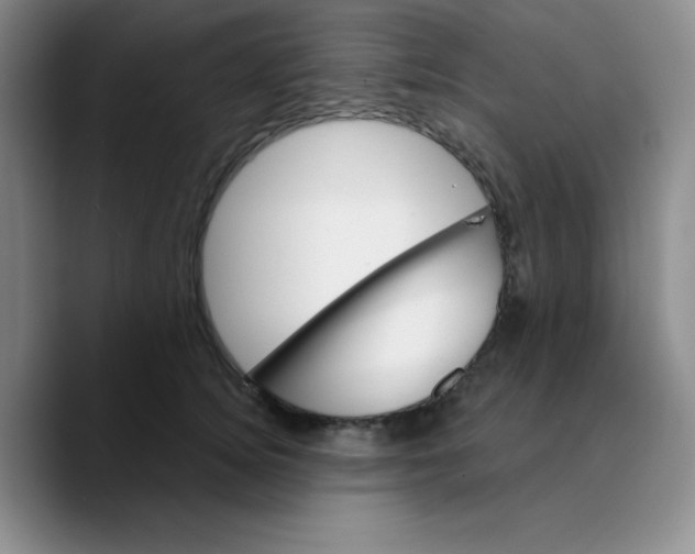 X0000089700756200707201740