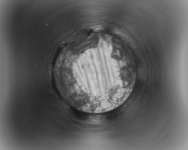 X0000089700757200707201740