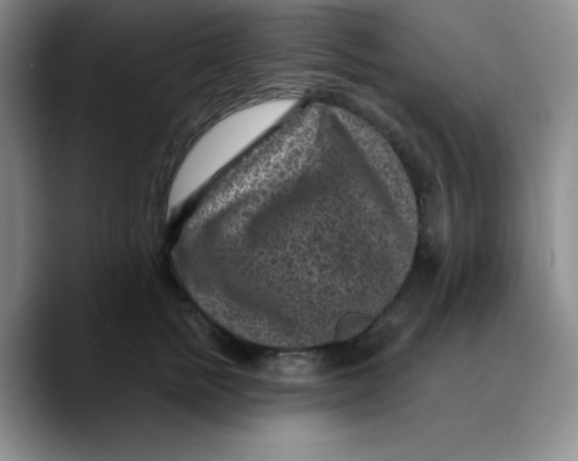 X0000089700758200707201740