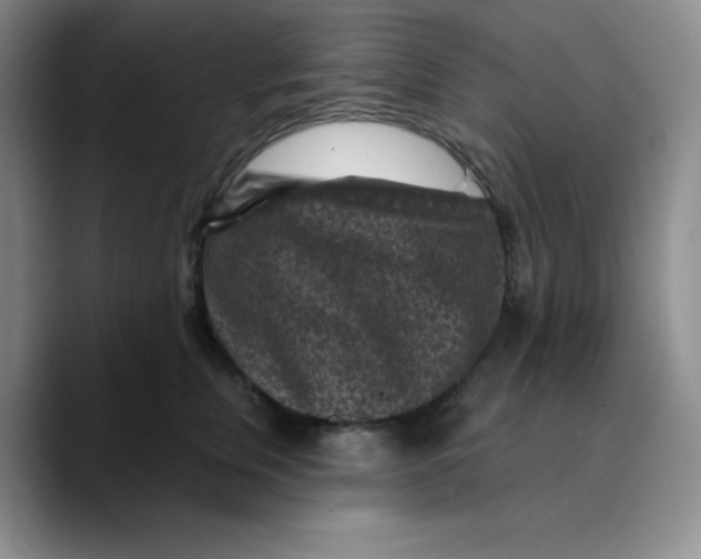 X0000089700759200707201740
