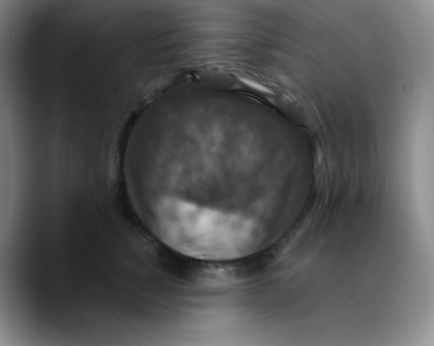 X0000089700760200707201740