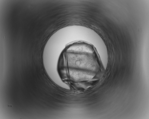 X0000089700762200707201740