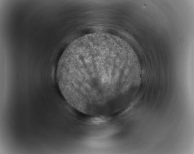 X0000089700765200707201740