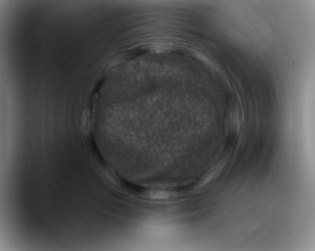 X0000089700766200707201740