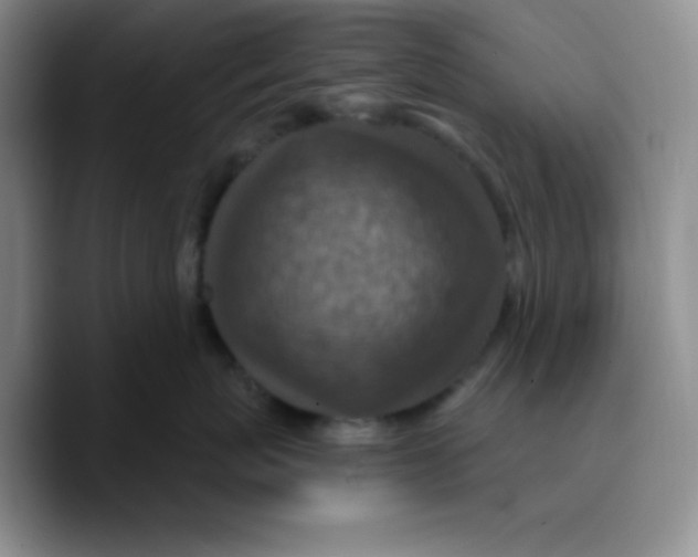 X0000089700767200707201740