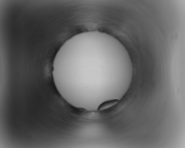 X0000089700768200707201740