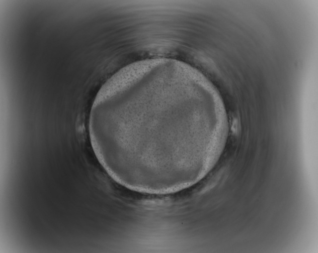 X0000089700771200707201740