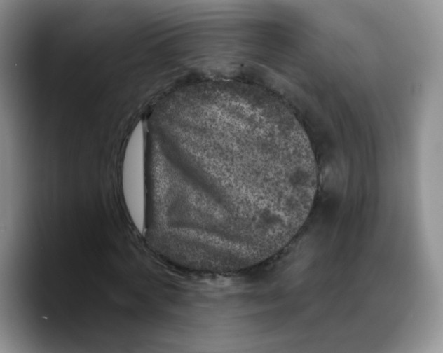 X0000089700772200707201739