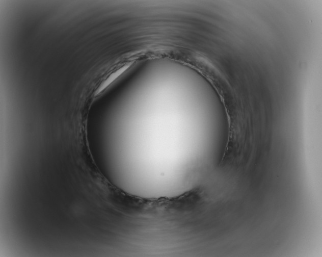 X0000089700773200707201739