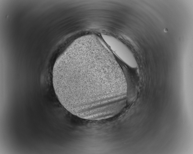X0000089700776200707201739
