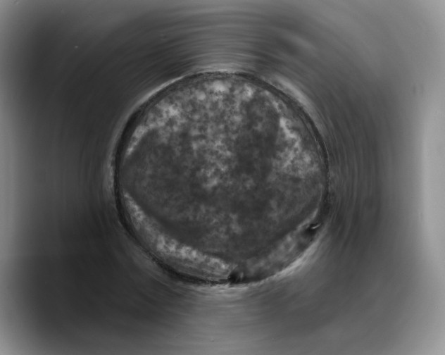 X0000089700779200707201739