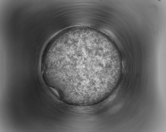 X0000089700780200707201739
