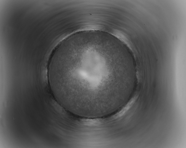 X0000089700781200707201739