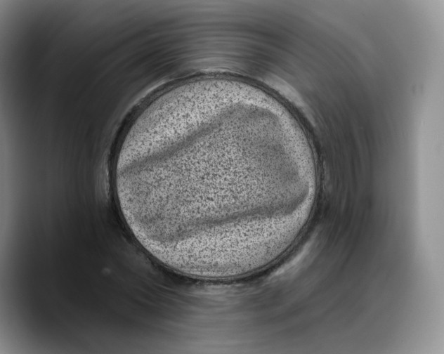 X0000089700782200707201739