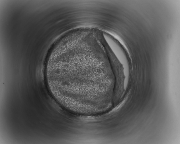 X0000089700783200707201739