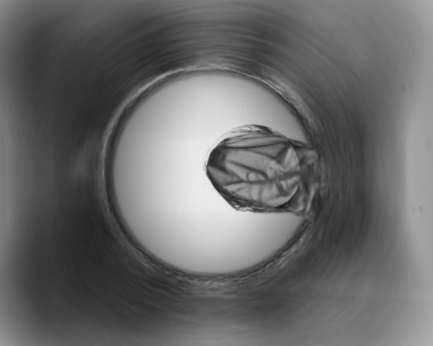X0000089700784200707201739