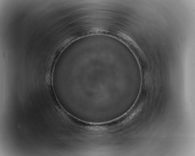 X0000089700785200707201739