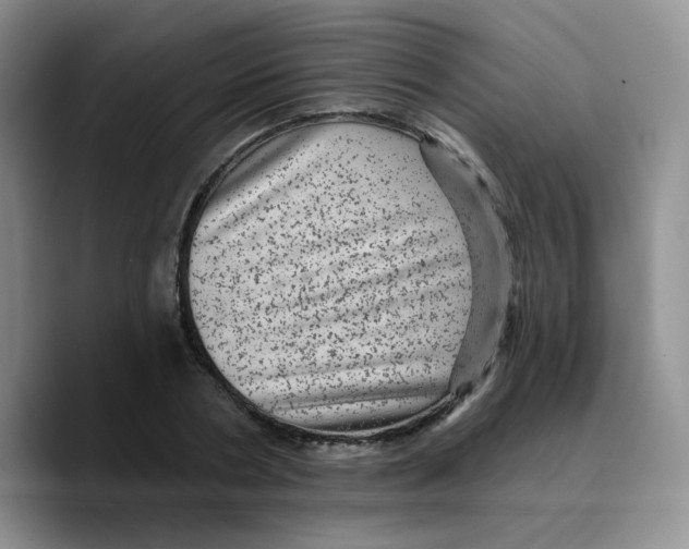 X0000089700786200707201739