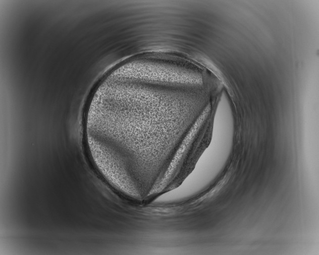 X0000089700787200707201739