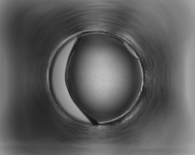 X0000089700788200707201739