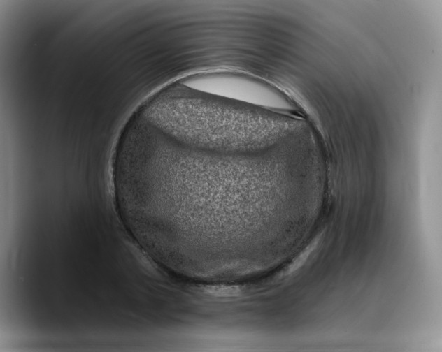 X0000089700789200707201739