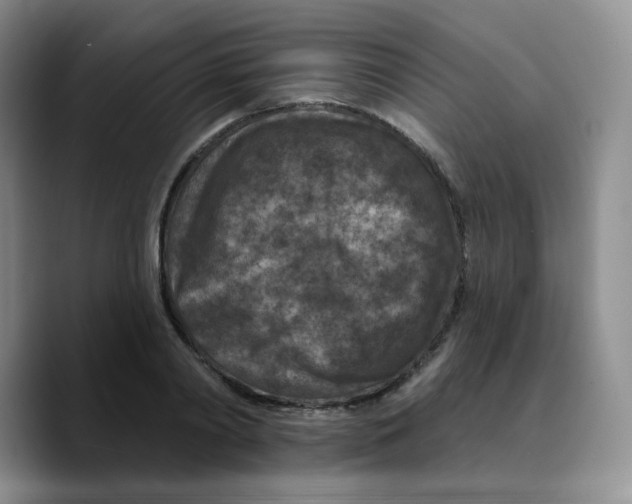 X0000089700790200707201739