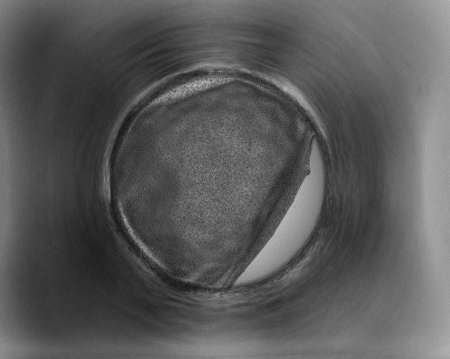 X0000089700791200707201739