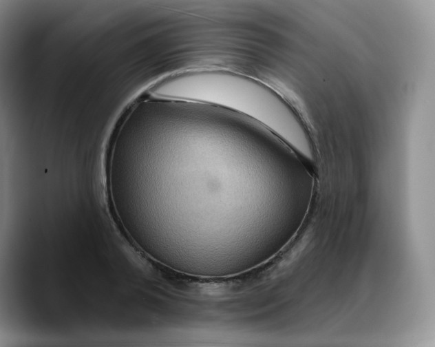 X0000089700792200707201739