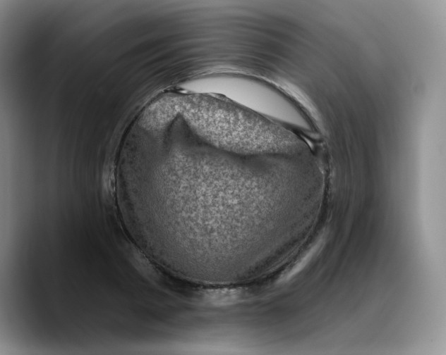 X0000089700793200707201739