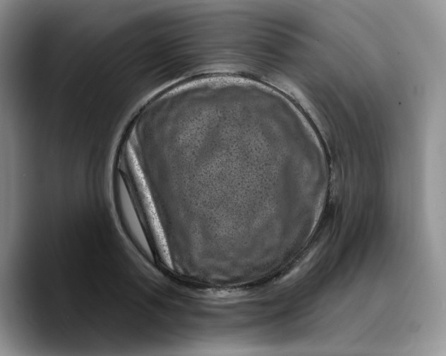 X0000089700795200707201739