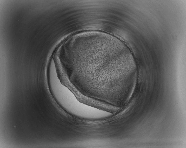 X0000089700796200707201739