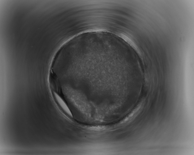 X0000089700797200707201739