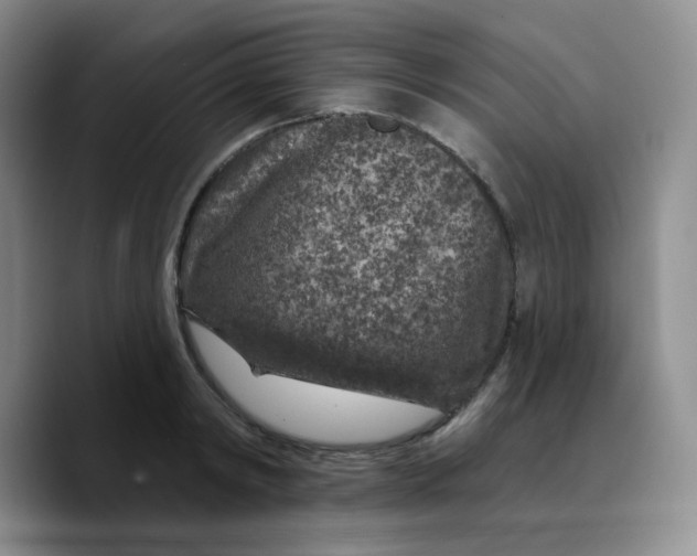 X0000089700798200707201739