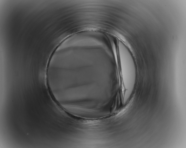 X0000089700802200707201739