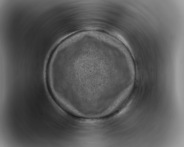 X0000089700803200707201739