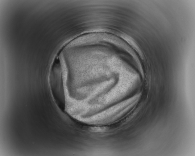 X0000089700805200707201739