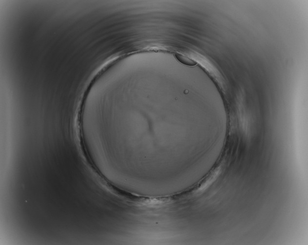 X0000089700806200707201739