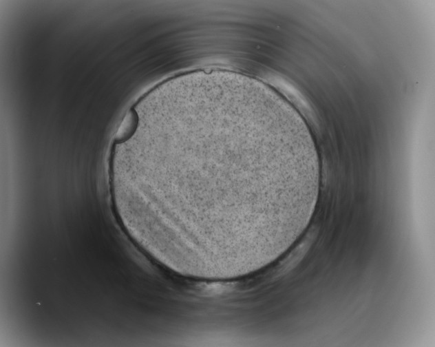 X0000089700808200707201739