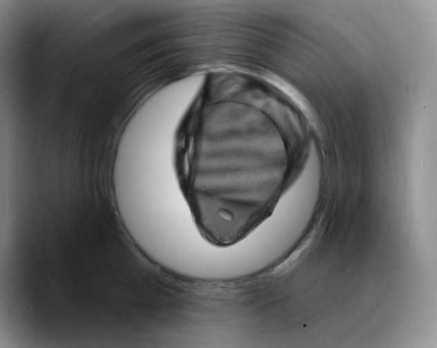 X0000089700809200707201739