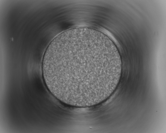 X0000089700810200707201739