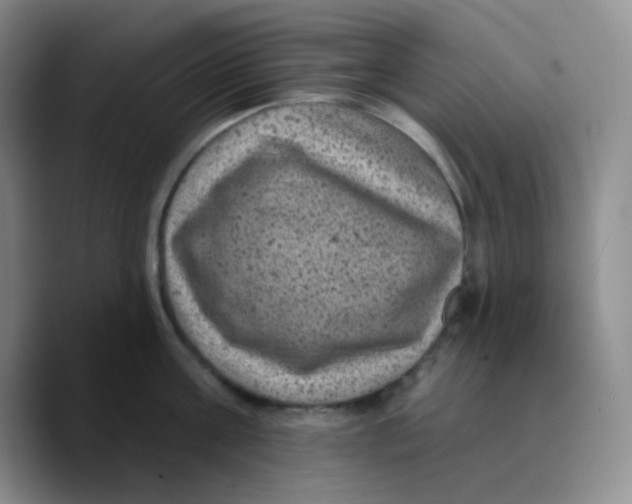 X0000089700811200707201739