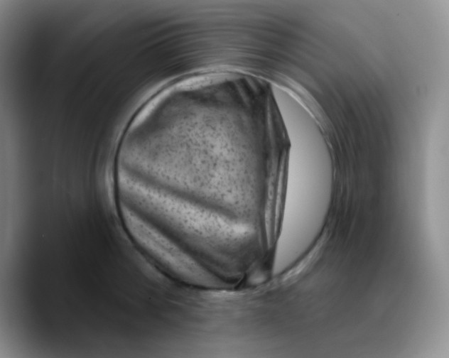 X0000089700812200707201739