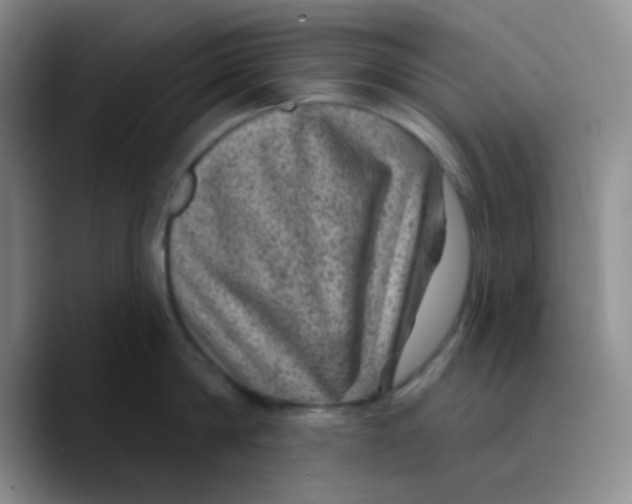 X0000089700814200707201739
