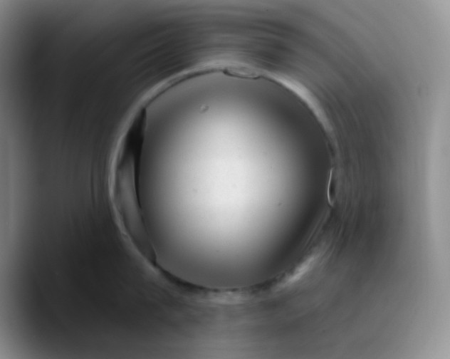 X0000089700815200707201739