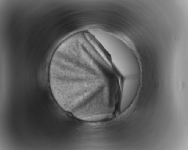 X0000089700816200707201739