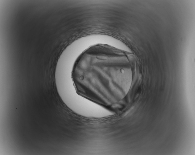 X0000089700818200707201738
