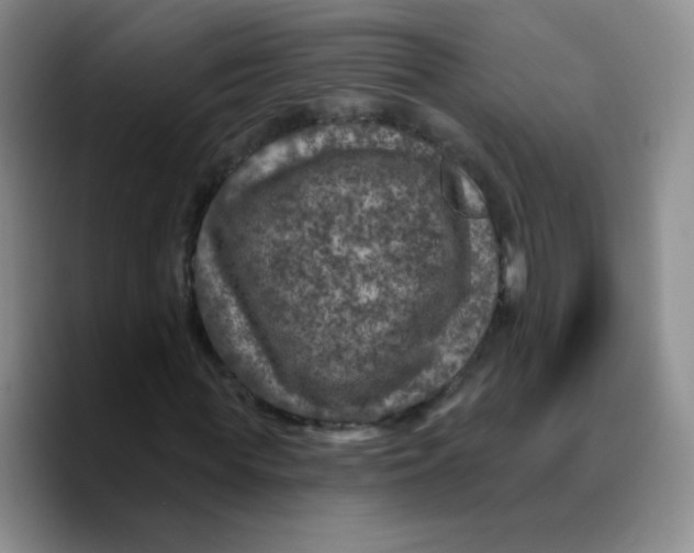 X0000089700819200707201738
