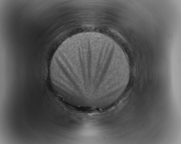 X0000089700821200707201738